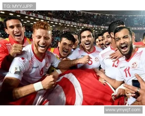 突尼斯与英格兰比赛统计分析及数据对比详解